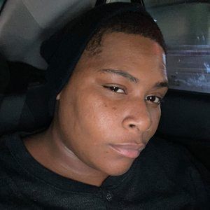 Meet your Posher, Latran